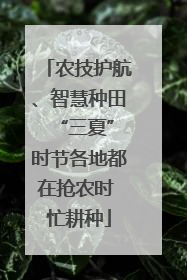 农技护航、智慧种田 “三夏”时节各地都在抢农时 忙耕种