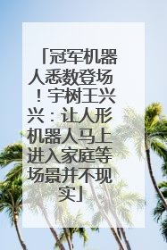 冠军机器人悉数登场！宇树王兴兴：让人形机器人马上进入家庭等场景并不现实