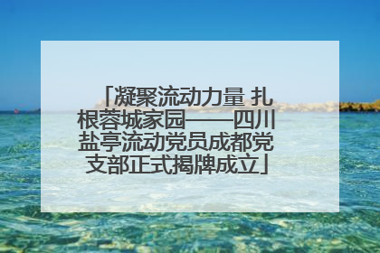凝聚流动力量 扎根蓉城家园——四川盐亭流动党员成都党支部正式揭牌成立