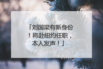 刘国梁有新身份！将赴纽约任职，本人发声！