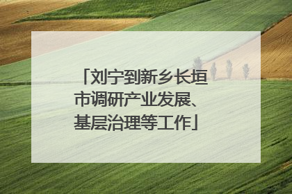 刘宁到新乡长垣市调研产业发展、基层治理等工作