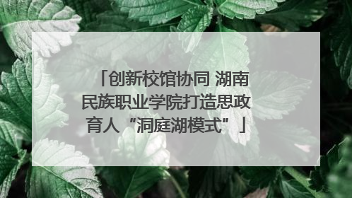创新校馆协同 湖南民族职业学院打造思政育人“洞庭湖模式”