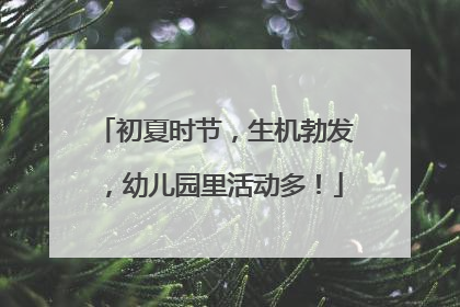 初夏时节，生机勃发，幼儿园里活动多！