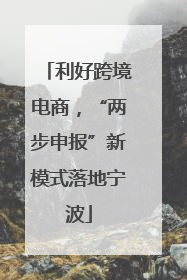 利好跨境电商，“两步申报”新模式落地宁波