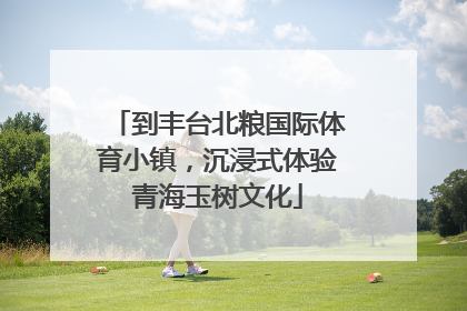 到丰台北粮国际体育小镇，沉浸式体验青海玉树文化