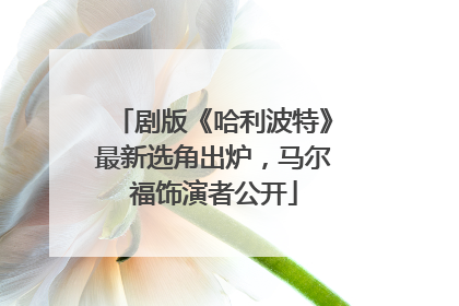 剧版《哈利波特》最新选角出炉，马尔福饰演者公开