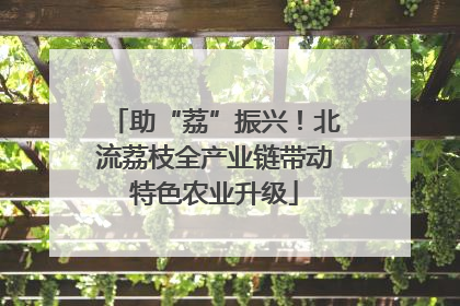 助“荔”振兴！北流荔枝全产业链带动特色农业升级