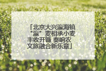 北京大兴瀛海镇“瀛”麦相承小麦丰收开镰 奏响农文旅融合新乐章