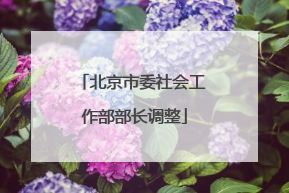 北京市委社会工作部部长调整