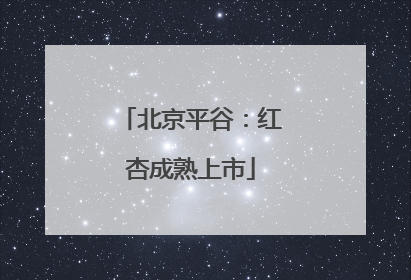北京平谷：红杏成熟上市