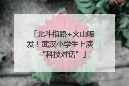北斗指路+火山喷发！武汉小学生上演“科技对话”