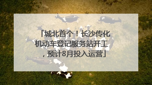 城北首个！长沙传化机动车登记服务站开工，预计8月投入运营