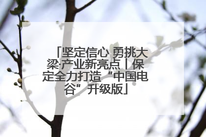 坚定信心 勇挑大梁·产业新亮点丨保定全力打造“中国电谷”升级版