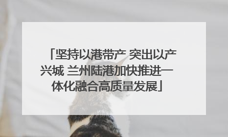 坚持以港带产 突出以产兴城 兰州陆港加快推进一体化融合高质量发展