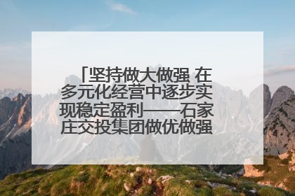 坚持做大做强 在多元化经营中逐步实现稳定盈利——石家庄交投集团做优做强典型报道之三