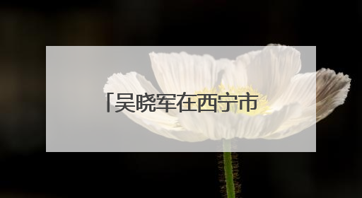吴晓军在西宁市调研基层党建和学习教育时强调 切实把学习教育成果转化为惠民实效