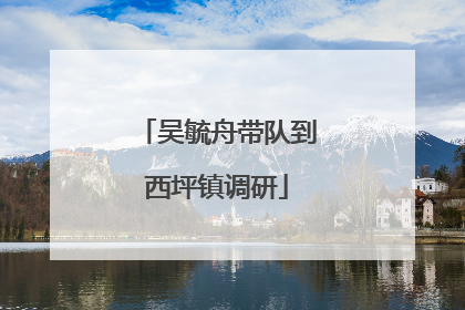 吴毓舟带队到西坪镇调研
