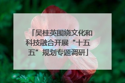 吴桂英围绕文化和科技融合开展“十五五”规划专题调研
