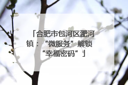 合肥市包河区淝河镇：“微服务”解锁“幸福密码”