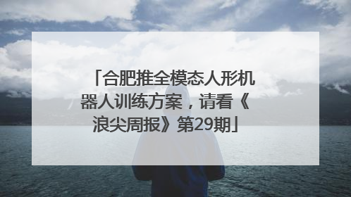合肥推全模态人形机器人训练方案，请看《浪尖周报》第29期