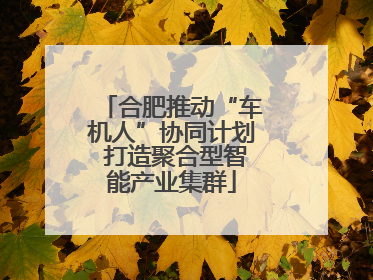 合肥推动“车机人”协同计划 打造聚合型智能产业集群