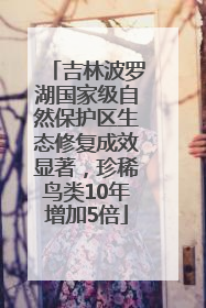吉林波罗湖国家级自然保护区生态修复成效显著，珍稀鸟类10年增加5倍