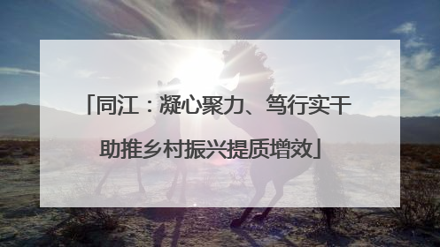 同江：凝心聚力、笃行实干 助推乡村振兴提质增效