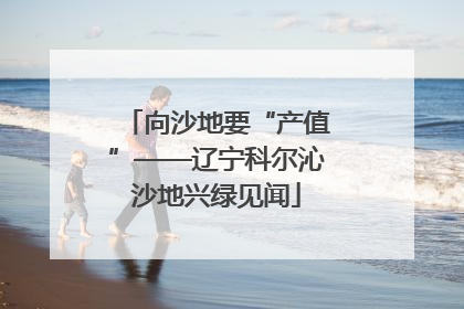 向沙地要“产值”——辽宁科尔沁沙地兴绿见闻
