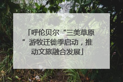 呼伦贝尔“三美草原”游牧迁徙季启动，推动文旅融合发展