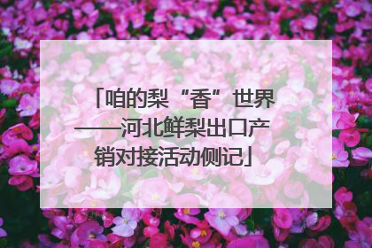 咱的梨“香”世界——河北鲜梨出口产销对接活动侧记