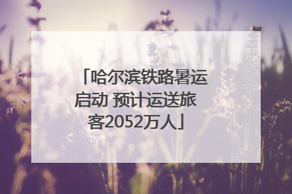 哈尔滨铁路暑运启动 预计运送旅客2052万人