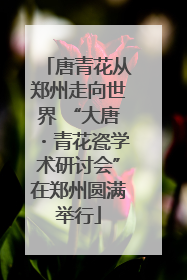 唐青花从郑州走向世界 “大唐・青花瓷学术研讨会”在郑州圆满举行