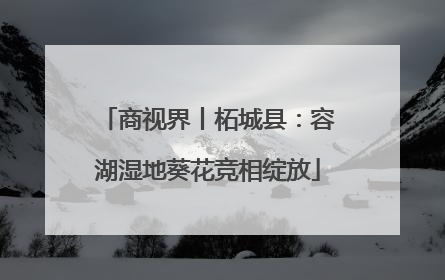 商视界丨柘城县：容湖湿地葵花竞相绽放