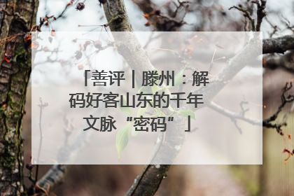 善评｜滕州：解码好客山东的千年文脉“密码”