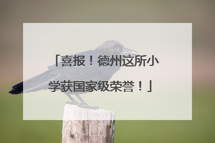 喜报！德州这所小学获国家级荣誉！