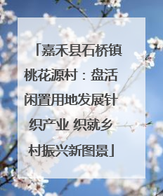 嘉禾县石桥镇桃花源村：盘活闲置用地发展针织产业 织就乡村振兴新图景