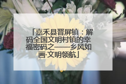 嘉禾县晋屏镇：解码全国文明村镇的幸福密码之——乡风如画·文明领航