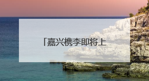 嘉兴槜李即将上市，净相村开共富工坊做槜李文创