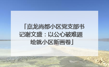 嘉龙尚都小区党支部书记谢文盛：以公心破难题 绘就小区新画卷