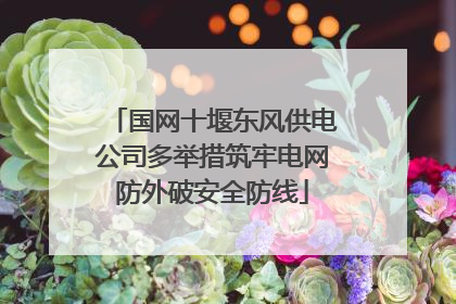 国网十堰东风供电公司多举措筑牢电网防外破安全防线
