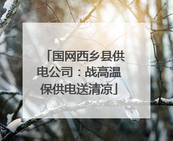 国网西乡县供电公司：战高温保供电送清凉