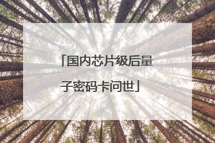 国内芯片级后量子密码卡问世