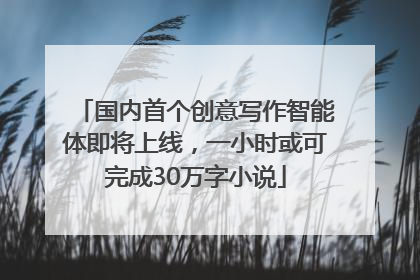 国内首个创意写作智能体即将上线，一小时或可完成30万字小说