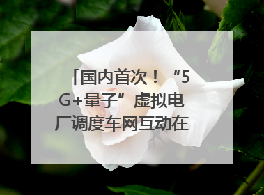 国内首次！“5G+量子”虚拟电厂调度车网互动在合肥规模化实测