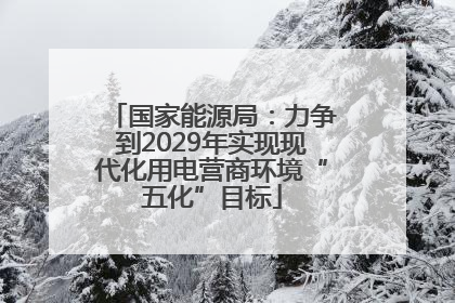 国家能源局：力争到2029年实现现代化用电营商环境“五化”目标