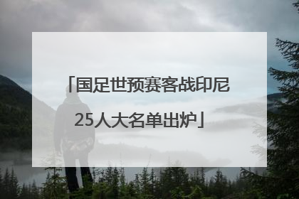 国足世预赛客战印尼25人大名单出炉