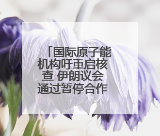 国际原子能机构吁重启核查 伊朗议会通过暂停合作法案