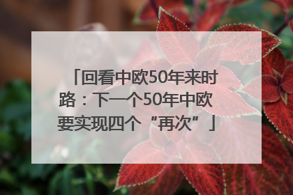 回看中欧50年来时路：下一个50年中欧要实现四个“再次”
