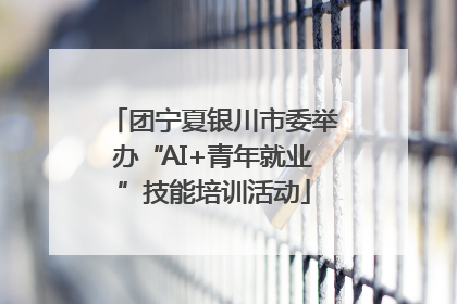 团宁夏银川市委举办“AI+青年就业”技能培训活动