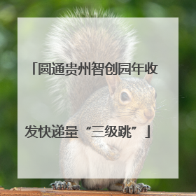 圆通贵州智创园年收发快递量“三级跳”